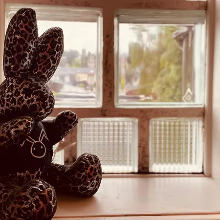 度假居 La Maison Bridgerton -325